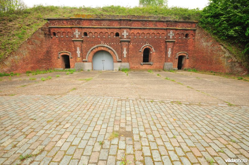 Fort 2