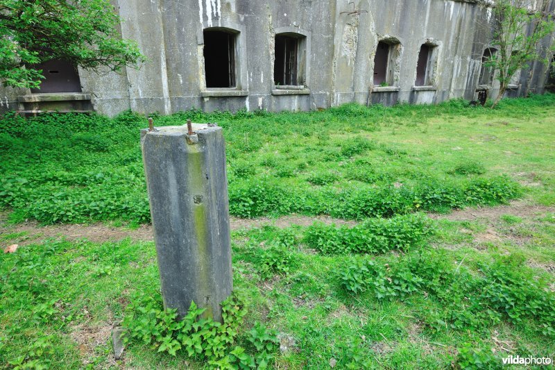 Fort Haasdonk