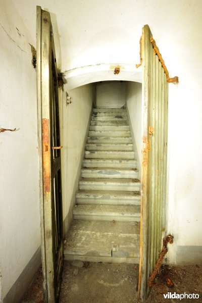 Fort Haasdonk