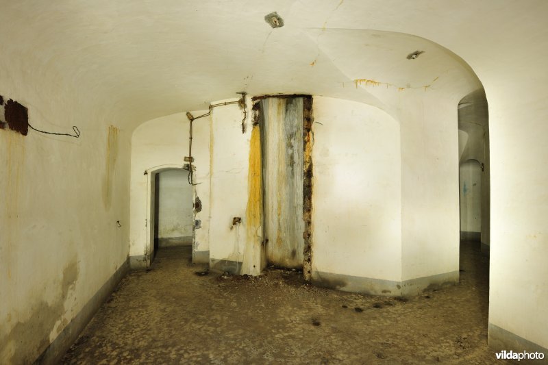 Fort Haasdonk