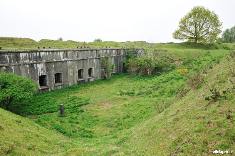 Fort Haasdonk