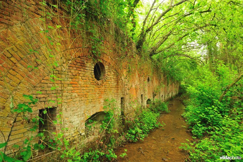 Fort van Borsbeek