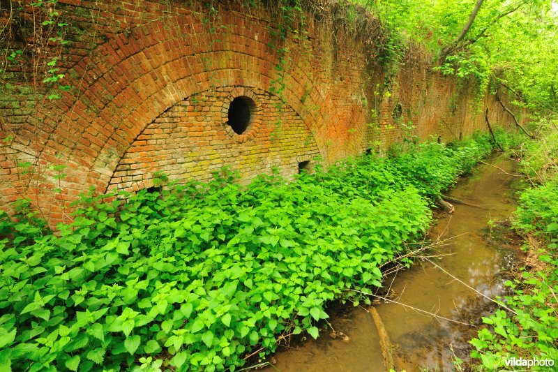 Fort van Borsbeek