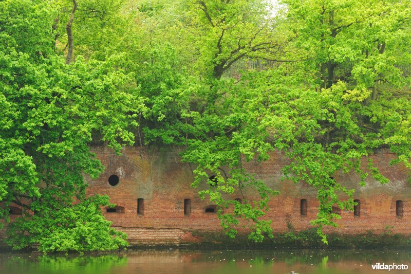 Fort van Borsbeek