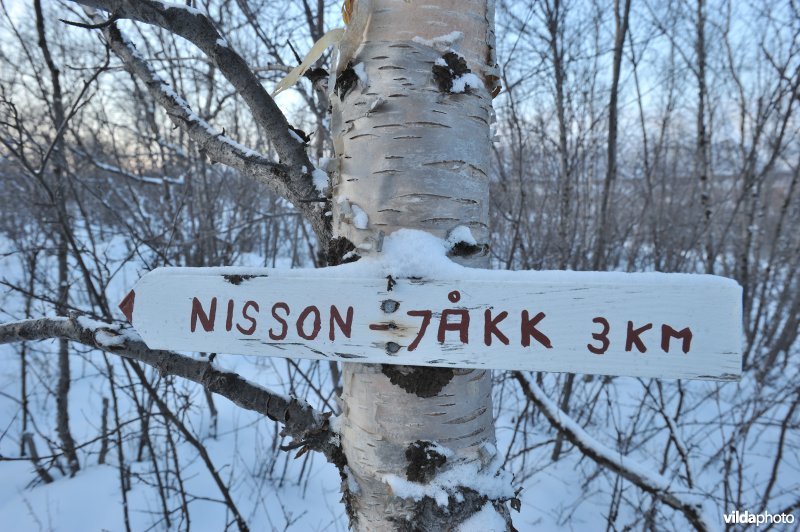 Houten wegwijzer Abisko