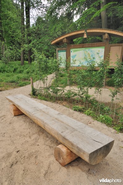 Zitbank en wandelplan arboretum Groenendaal