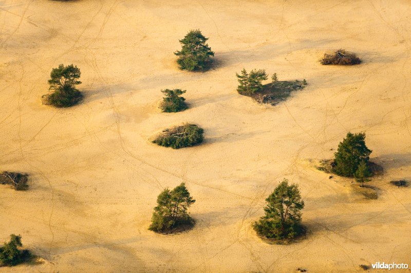 Luchtfoto van het Rozendaalse Zand waar stuifzand is gecreeerd