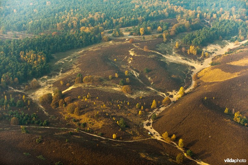 Luchtfoto van het Herikhuizerveld op de Veluwezoom in de herfst