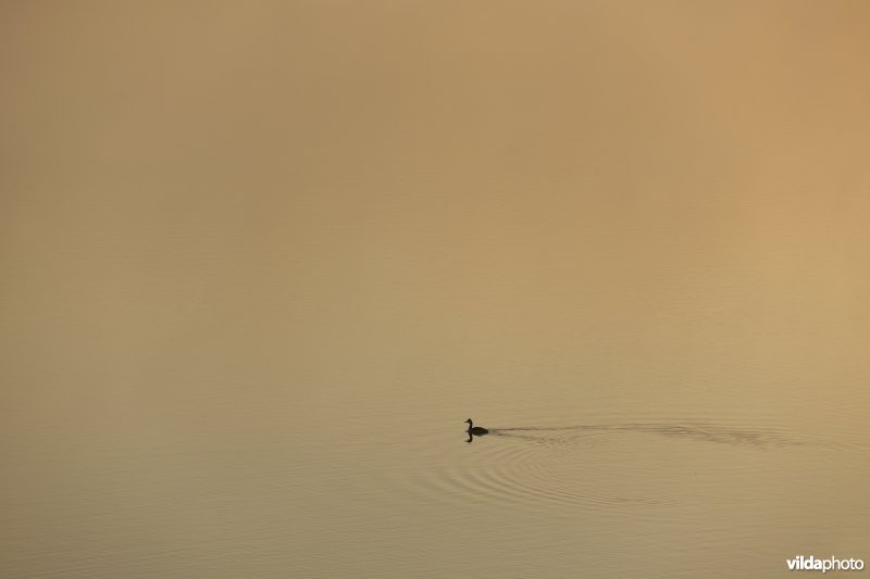 Oude zandgroeve aan de Kikbeekbron