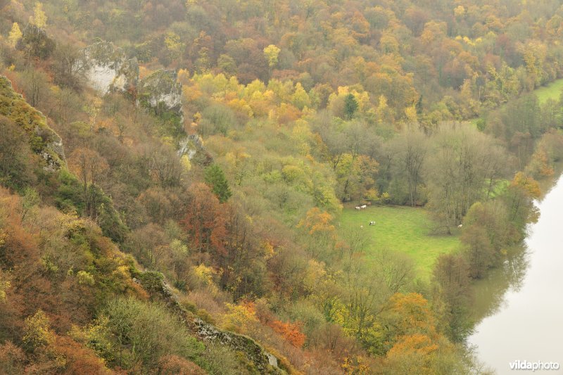 Kalkrotsen van Freyr langs de Maas