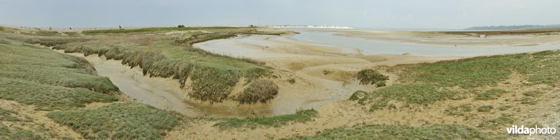 Kreken in de baai van de Somme