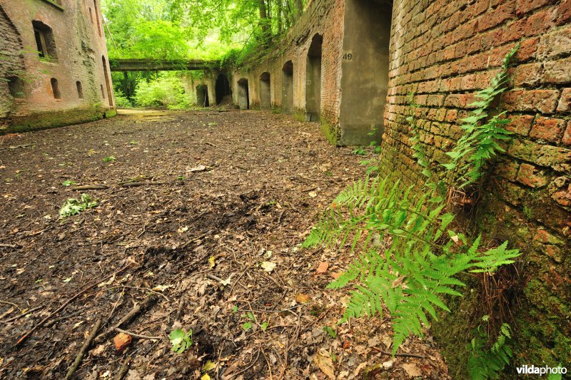 Droge gracht van Fort 6