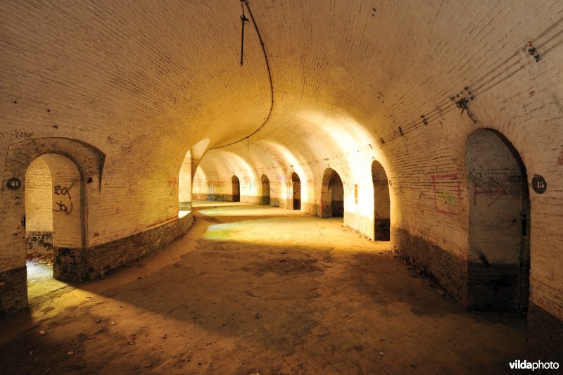 Fort 6