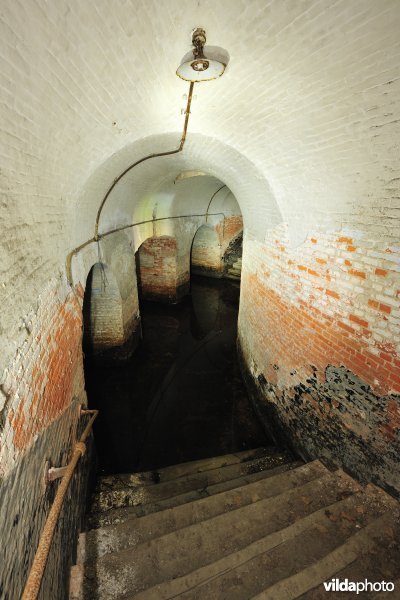 Fort 6