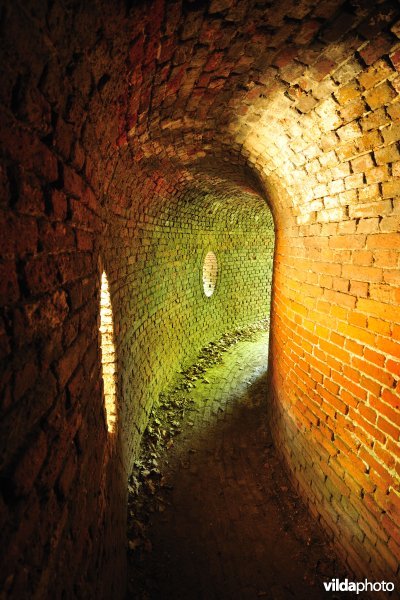 Fort 6
