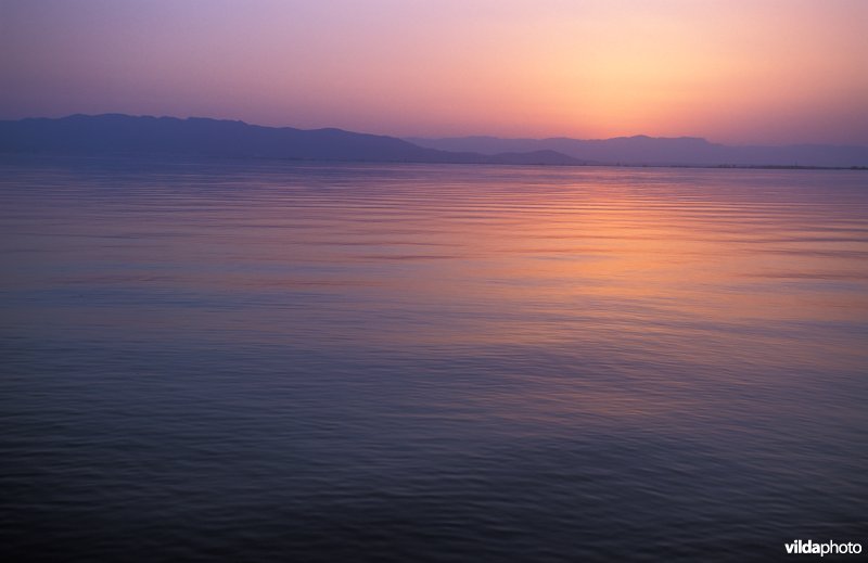 Zomeravond in de Ebro delta