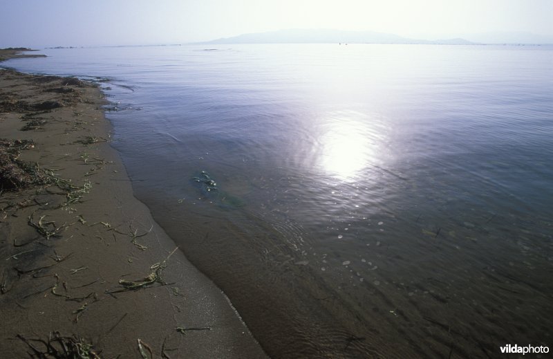 Baai in de Ebro delta