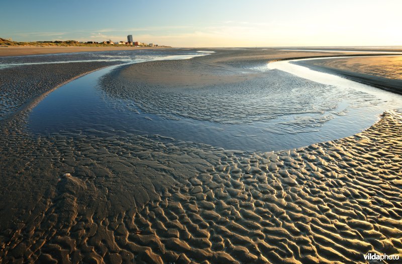 Strand te Koksijde