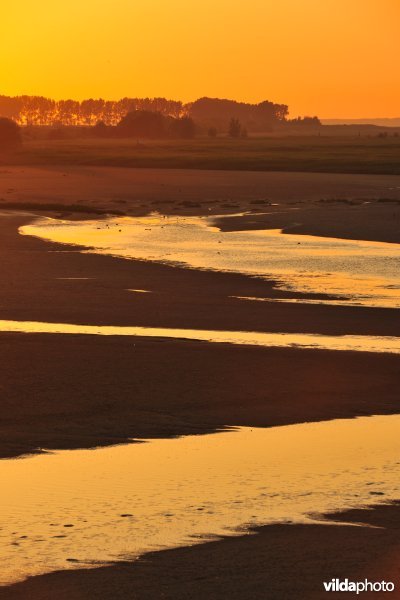 Paardenschor in Doel