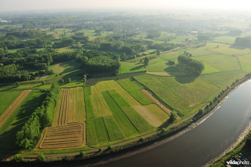 Paardeweide