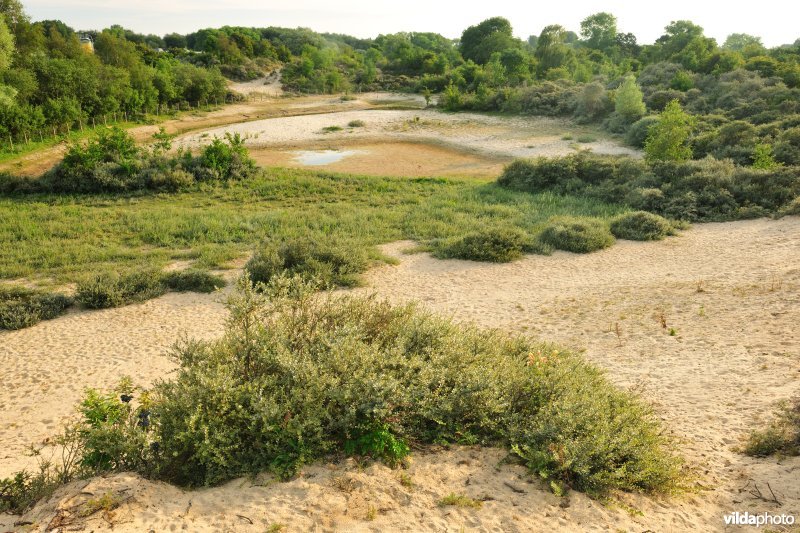 Noordduinen