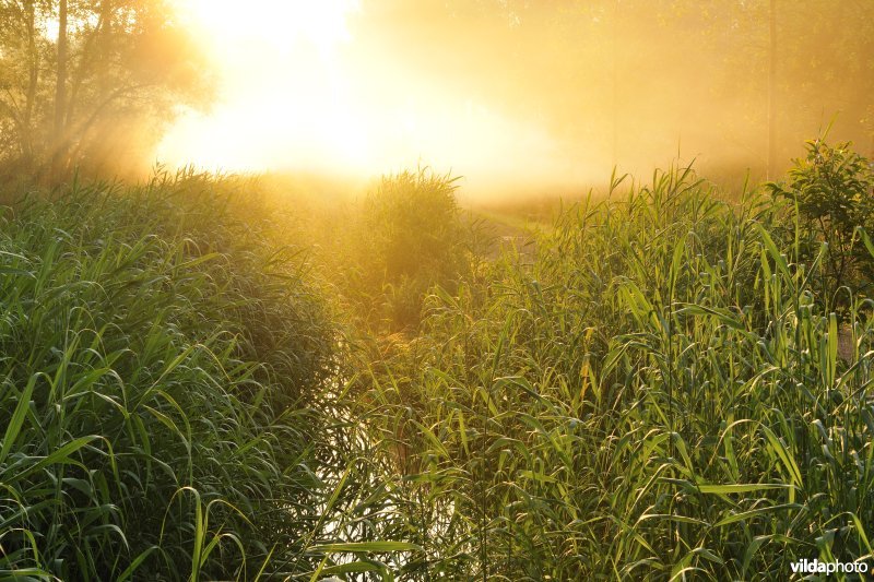 Vlassenbroekse Polders