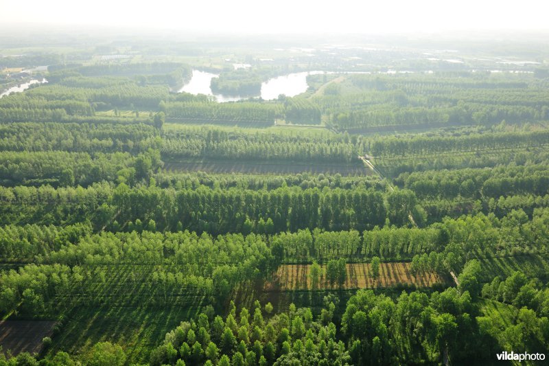 Vlassenbroekse Polders