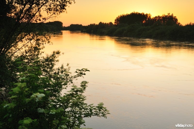 De Schelde aan de Vlassenbroekse Polders