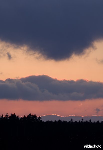 Avondlucht in de Ardennen