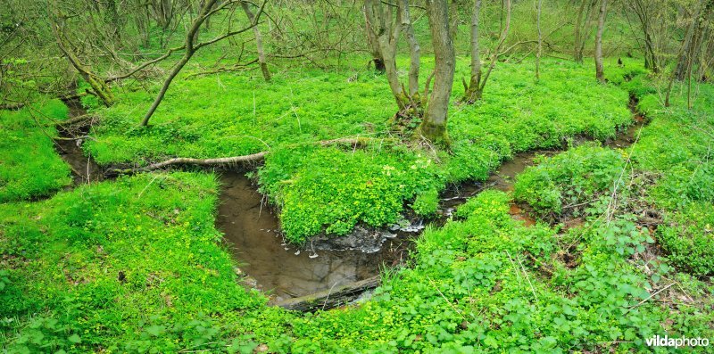Natuurreservaat Pyreneeën
