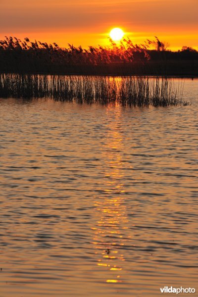 Natuurreservaat Putten West