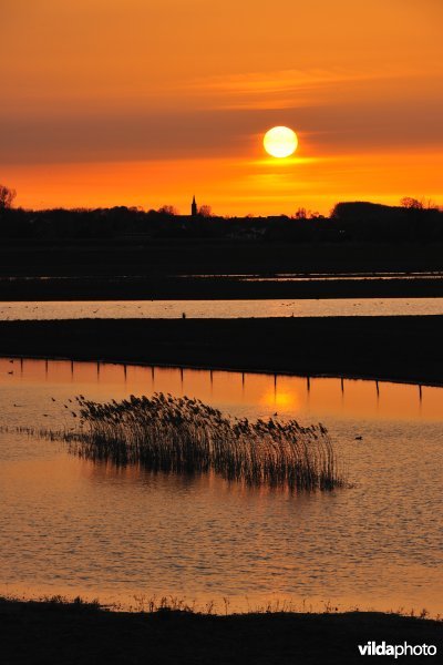 Natuurreservaat Putten West