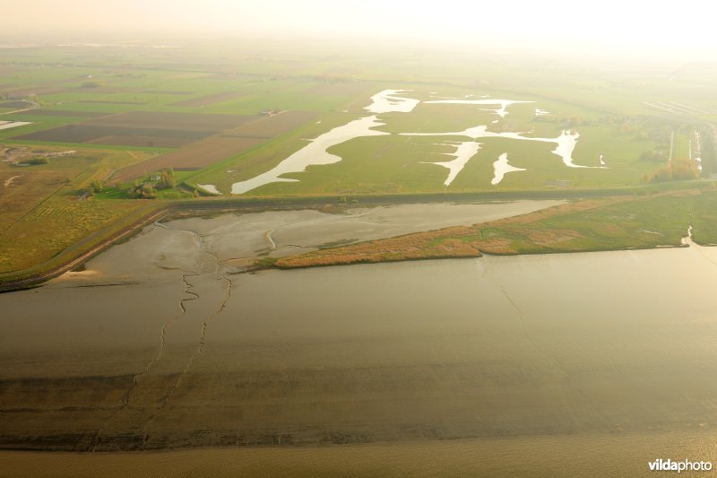 Paardenschor in Doel