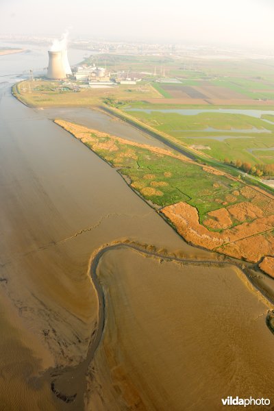 Paardenschor in Doel