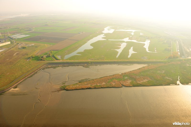 Paardenschor in Doel