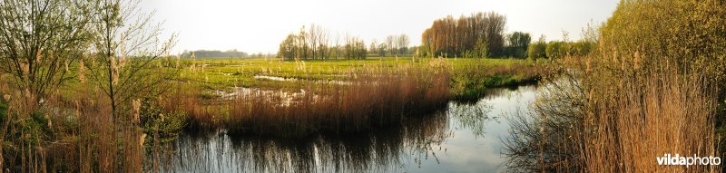 Panorama in de Bourgoyen