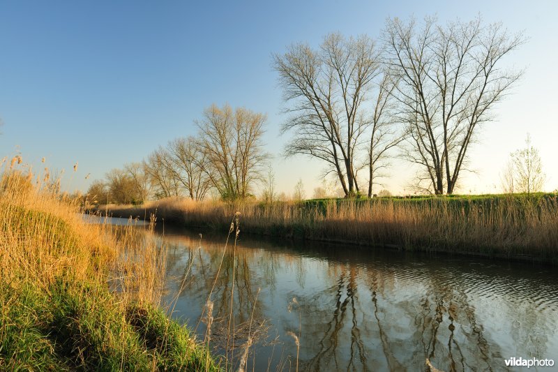 De Lovaart