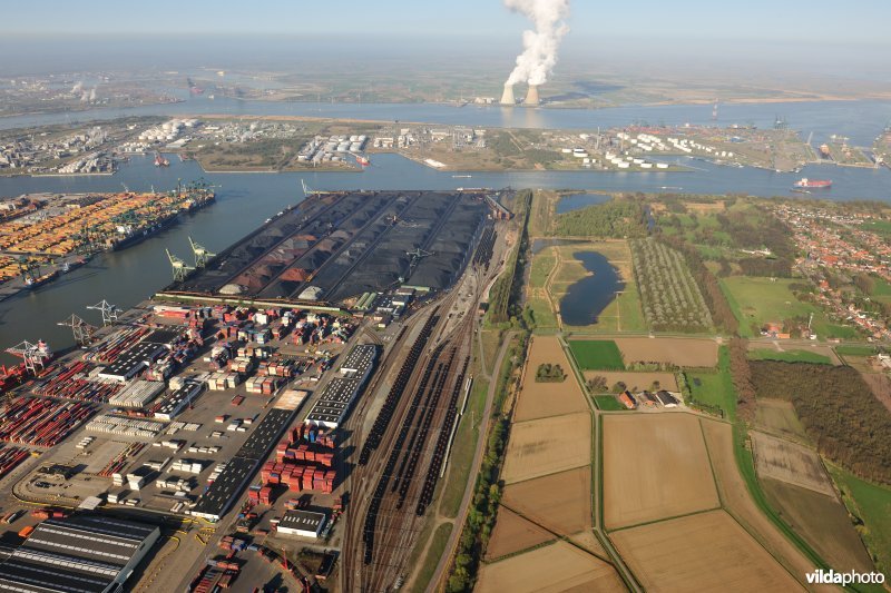 Delwaidedok en Reigersbos in de zeehaven van Antwerpen