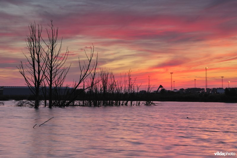 Verrebroekse plassen