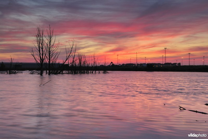 Verrebroekse plassen