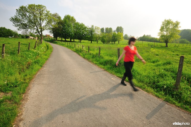 Wandelen in de Vlaamse Ardennen