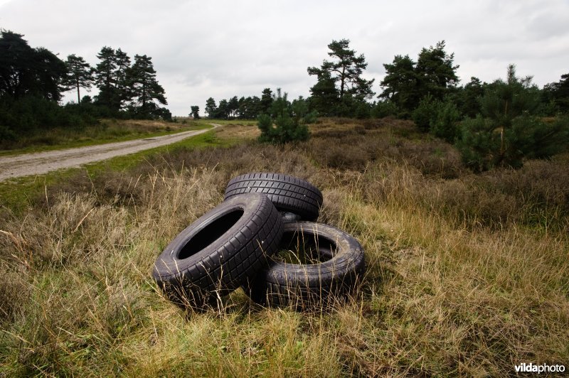 Zwerfvuil in natuurgebied