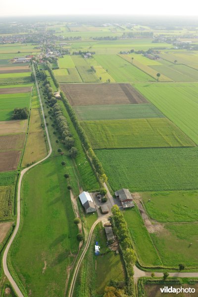 Cauwensteinse dijk