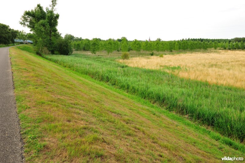 Grote Vijver deel 1 in het Zennegat