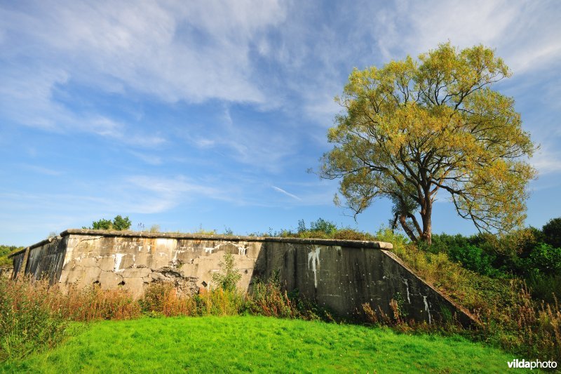 Fort Kessel