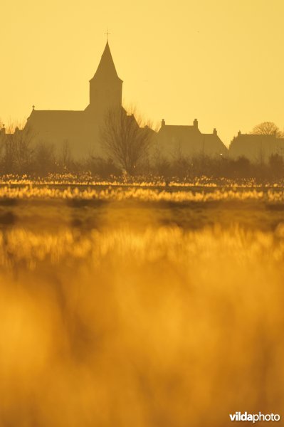 Natuurreservaat Uitkerkse Polders