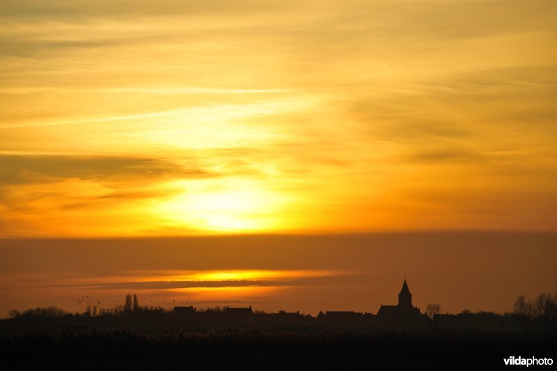 Natuurreservaat Uitkerkse Polders