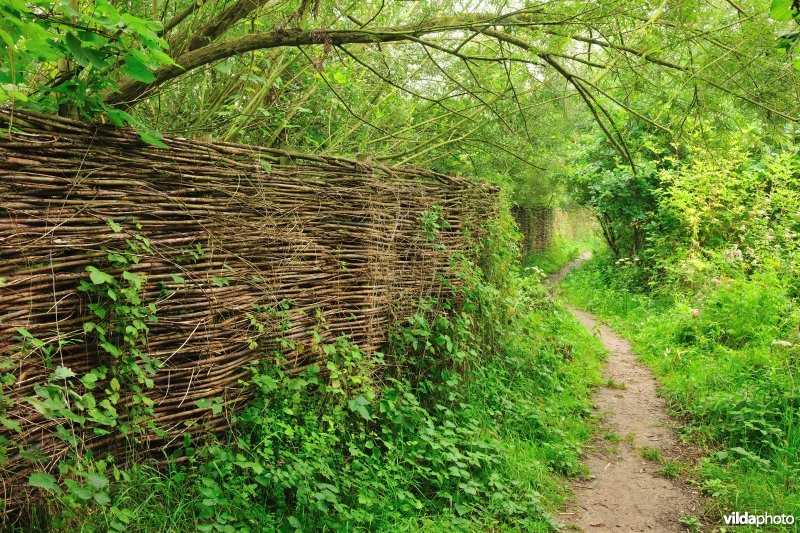 Wandelpad in Grootbroek