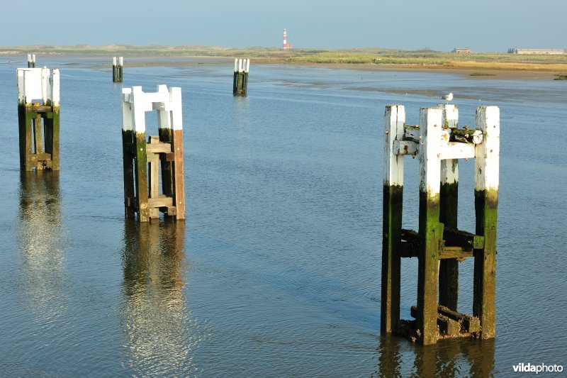 Natuurreservaat IJzermonding