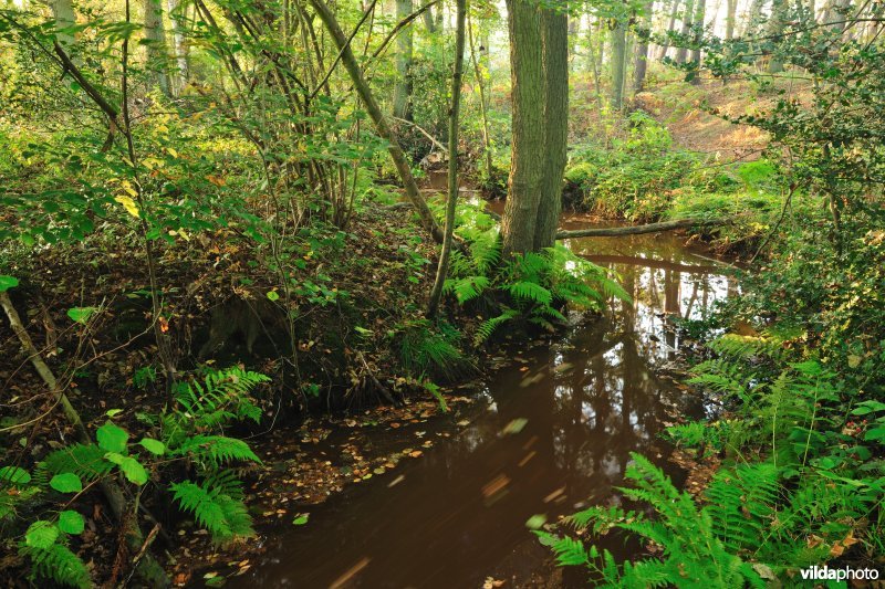 Vallei van de Zwarte Beek